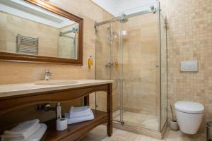 a bathroom with a shower and a sink and a toilet at Hotel Gabriela in Vişeu de Sus