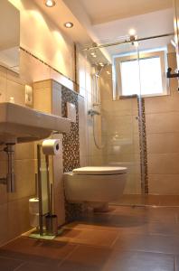 a bathroom with a toilet and a shower and a sink at Residence Kingshill in Eppstein