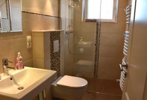 a bathroom with a toilet and a sink and a shower at Residence Kingshill in Eppstein