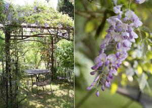 a pergola and a table in a garden with purple flowers at Fahrradpension-Joachimsthal in Joachimsthal