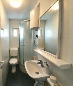 a bathroom with a sink and a toilet and a mirror at Go2Vis in Rukavac