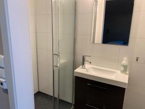 Skaland的住宿－BEDEHUSET Basecamp Senja，一间带水槽和玻璃淋浴的浴室