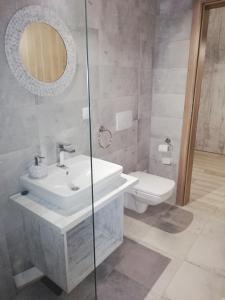 ein Badezimmer mit einem Waschbecken, einem WC und einem Spiegel in der Unterkunft Grey Residence Apartament in Târgu Mureș