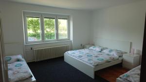 a bedroom with two beds and a window at PENZION RAMRAM in Nový Poddvorov