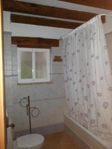 a bathroom with a toilet and a shower curtain at El Olivar de Roche Viejo in Conil de la Frontera