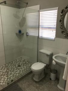 a bathroom with a toilet and a shower and a sink at Steenkoppies Estate semi self catering unit 2 in Magaliesburg