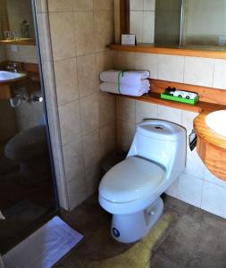Kupatilo u objektu Ilatoa Lodge