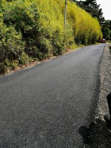 an empty road with trees on the side at Cabaña Mountain View in Heredia