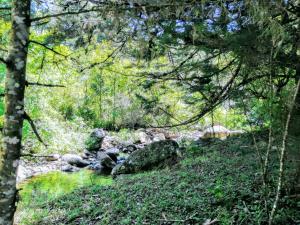 Paesaggio naturale nelle vicinanze della casa vacanze