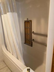 y baño con cortina de ducha y aseo. en Americas Best Value Inn Champaign, en Champaign