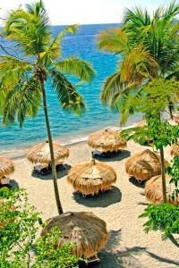a group of straw umbrellas on a beach with the ocean at Anse Chastanet Resort in Soufrière