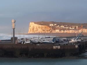 un gruppo di barche parcheggiate in un porto turistico con una montagna sullo sfondo di 180° VUE MER a Le Tréport Altre 3 foto