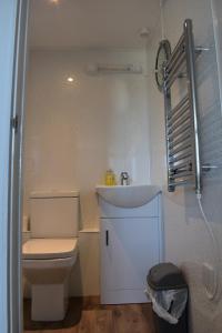 a small bathroom with a toilet and a shower at Plain Street Cottage, The Barn B&B in Port Isaac