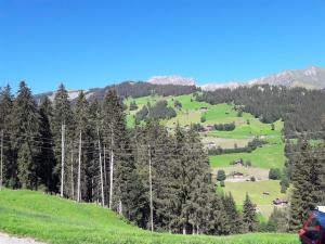 a view of a mountain with trees and green hills at Ferien in der Bergwelt von Adelboden in Adelboden