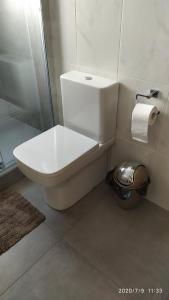 a white toilet in a bathroom with a shower at Calle Lardero Apartamento in Logroño
