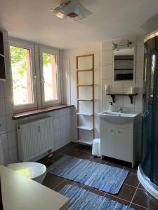 een kleine badkamer met een wastafel en een douche bij Villa 25 in Gartz an der Oder