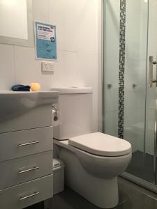 a bathroom with a toilet and a shower at Ulverstone River Retreat in Ulverstone