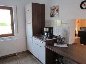 Il comprend une cuisine équipée d'un réfrigérateur blanc et d'un comptoir. dans l'établissement Ferienwohnung Sonja Sinsheim, à Sinsheim