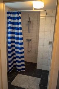 a bathroom with a shower with a blue and white shower curtain at Tranquility Farm in Dalfsen