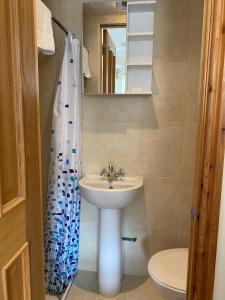 ロンドンにあるSeven Dials Hotel Annexeのバスルーム(シンク、シャワーカーテン付)