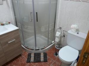 un bagno con doccia, WC e lavandino di Casa los abuelos 1 a La Goleta Altre 8 foto