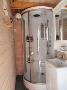 W łazience znajduje się prysznic i umywalka. w obiekcie Golcza Vita w mieście Choszczno