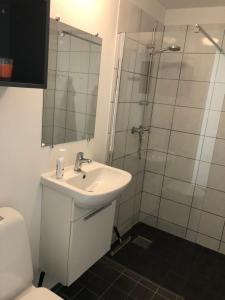 La salle de bains est pourvue d'un lavabo et d'une douche. dans l'établissement Vemmingbundvejens Ferielejlighed, à Broager