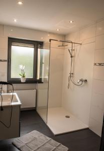 a bathroom with a shower and a sink at Ferienwohnung Roos in Klüsserath