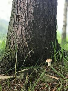 Fotografia z galérie ubytovania Vrch Varta v Ružomberku