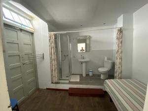ein Bad mit einer Dusche, einem WC und einem Waschbecken in der Unterkunft Pension La Cubana in Santa Cruz de la Palma