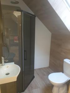 uma casa de banho com um WC branco e um lavatório. em Gospodarstwo agroturystyczne ,, Pod Dębem'' em Smoldziński Las