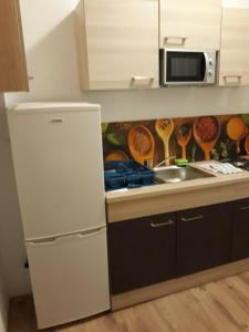Kuchnia lub aneks kuchenny w obiekcie Astoria Central Appartement 10 minutes to downtown
