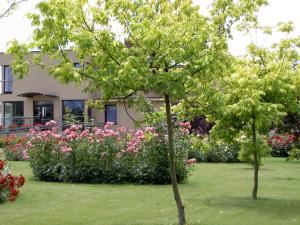 Ogród w obiekcie Hotel Grodzki