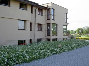 Ogród w obiekcie Hotel Grodzki