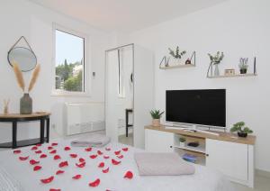 TV a/nebo společenská místnost v ubytování Kenova studio apartment