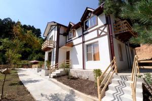 a house with a pathway leading up to it at Sochi Guest House in Dilijan