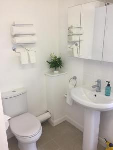 a white bathroom with a toilet and a sink at Basingstoke En Suite Room in Garden Annex in Basingstoke