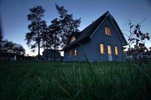 a blue house in the middle of a field at Haus unter den drei Bäumen - Urlaub auf der Sonneninsel Usedom in Zirchow