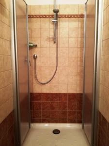 a shower with a glass door in a bathroom at Ristorante Albergo Da Maurizio in Cravanzana