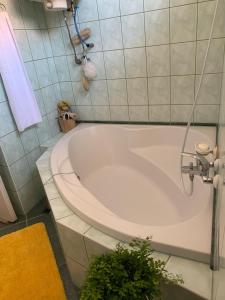 a white bath tub in a bathroom with a plant at Kata apartment in Tolna