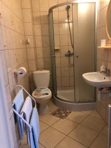 a bathroom with a shower and a toilet and a sink at Dom Gościnny Pola in Rewal