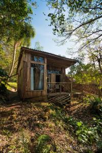 mały drewniany domek w środku lasu w obiekcie Chalé Envidraçado no Itaimbezinho w mieście Praia Grande
