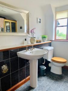 a bathroom with a sink and a toilet and a mirror at Sayang House in Church Stretton