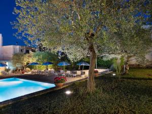 una piscina con un árbol, sillas y sombrillas en Hotel Colle Del Sole, en Alberobello