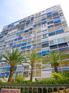 a large building with palm trees in front of it at Apartment Levante Halcon in Benidorm