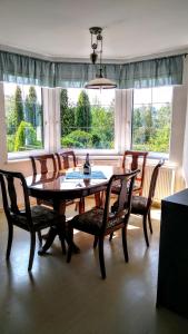 d'une salle à manger avec une table, des chaises et une fenêtre. dans l'établissement Vila v Podkrušnohoří, à Jirkov