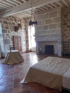 a large room with a fireplace and a bed in it at Château de Cauderoue in Nérac