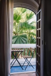 a chair on a balcony with a palm tree at Mami Sabaudia Hotel in Sabaudia