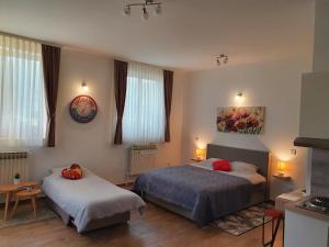 Posteľ alebo postele v izbe v ubytovaní Studio apartmani Toplička bajka + 37 fotografií