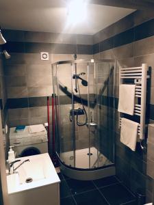 uma casa de banho com um chuveiro e um lavatório. em Apartament C18 em Jelenia Góra